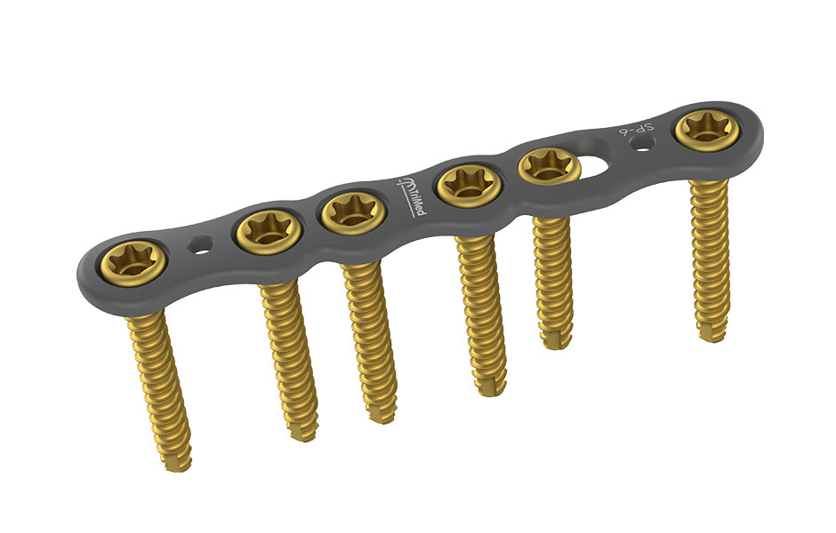 ASET Straight Plate implant with screws
