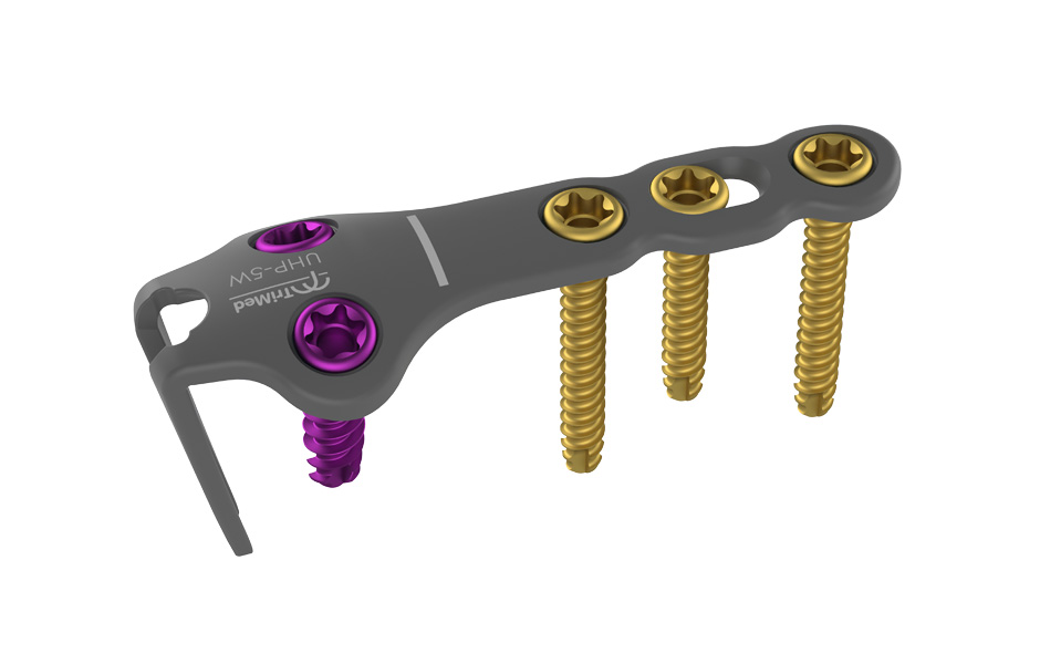 Universal Cobra Hook Plate implant with screws
