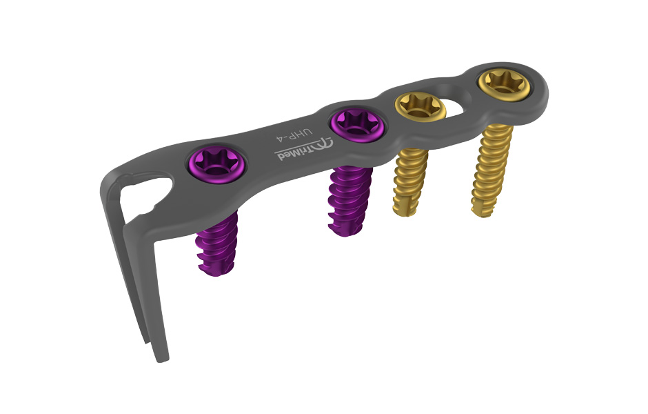 Universal Hook Plate implant with screws